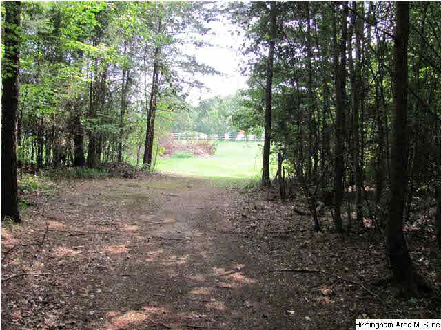 100 Cahaba Oaks Trail Pelham, AL 35124 - Photo 24 of 24
