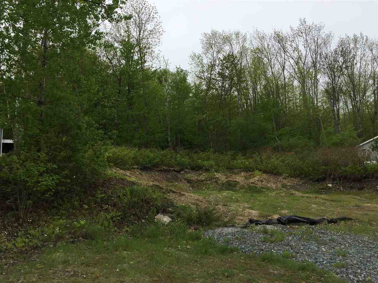 Lot 1 Nh Rte 4a Enfield, NH 03748 - Photo 2 of 2