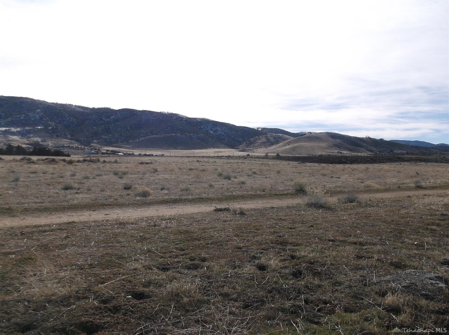 0 Pinon Street Tehachapi, CA 93561 - Photo 10 of 35 Very usable land