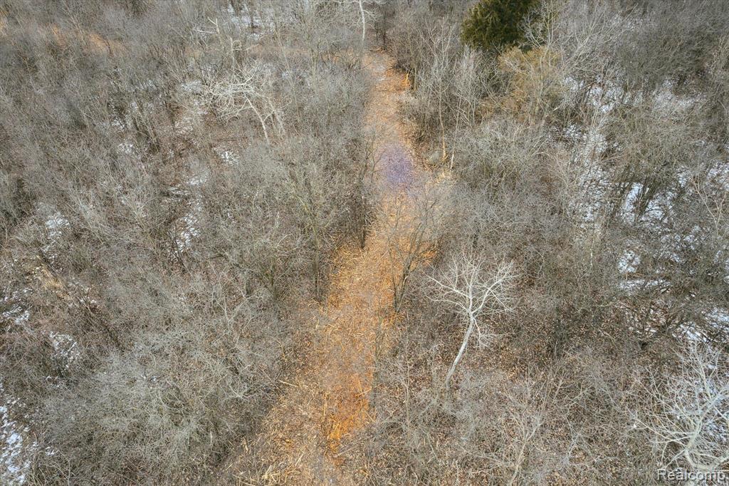 V/l Blake Road Jackson, MI 49201 - Photo 45 of 97 Gallery Image 45