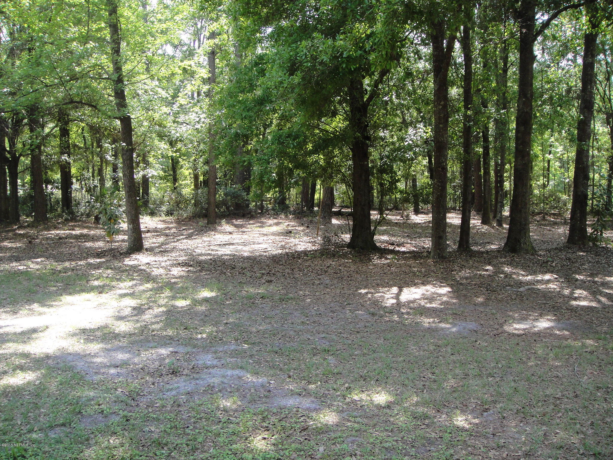 509 Forgotten Way Jacksonville, FL 32221 - Photo 6 of 13 Right Side Yard