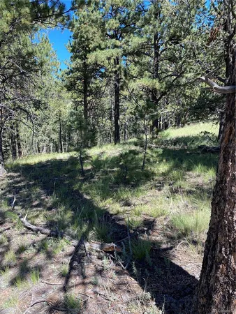 $33,000 | 452 Wilson Drive, Cripple Creek, CO 80813
