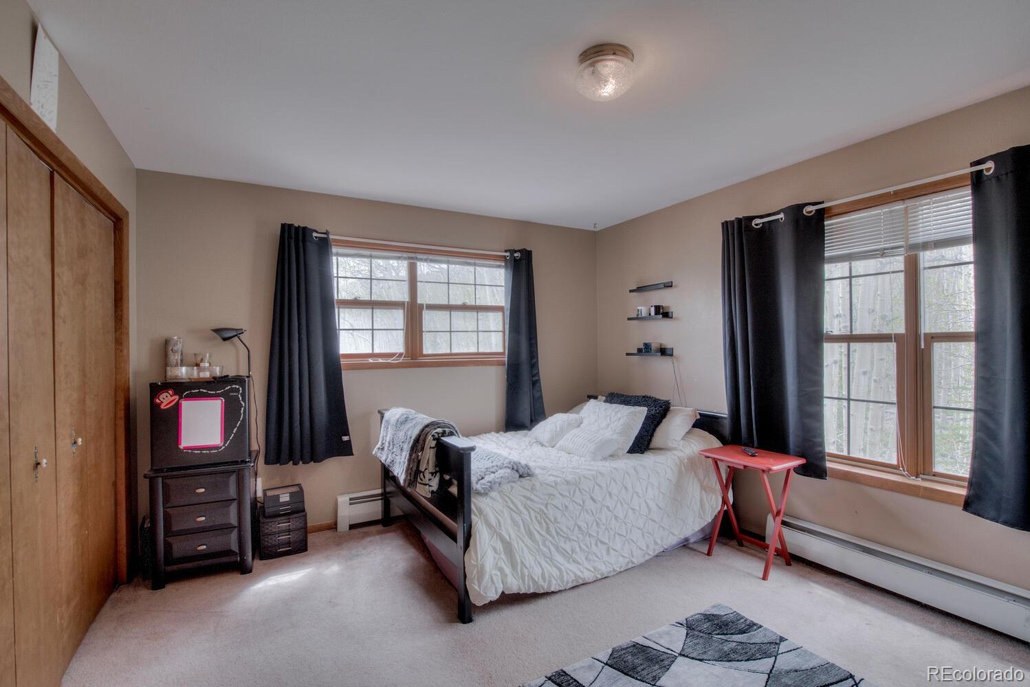 197 Warm Springs Road Fairplay, CO 80440 - Photo 29 of 39 Gallery Image 29