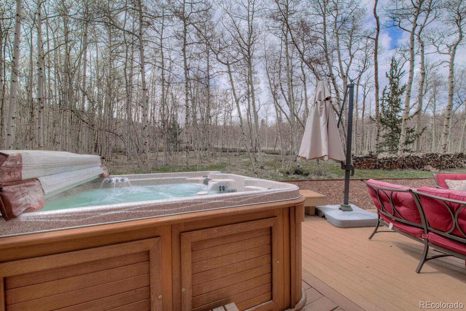 197 Warm Springs Road Fairplay, CO 80440 - Photo 8 of 39 Gallery Image 8