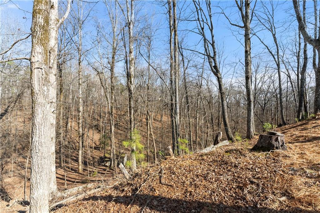 3425 Duckett Mill Road Gainesville, GA 30506 - Photo 59 of 95