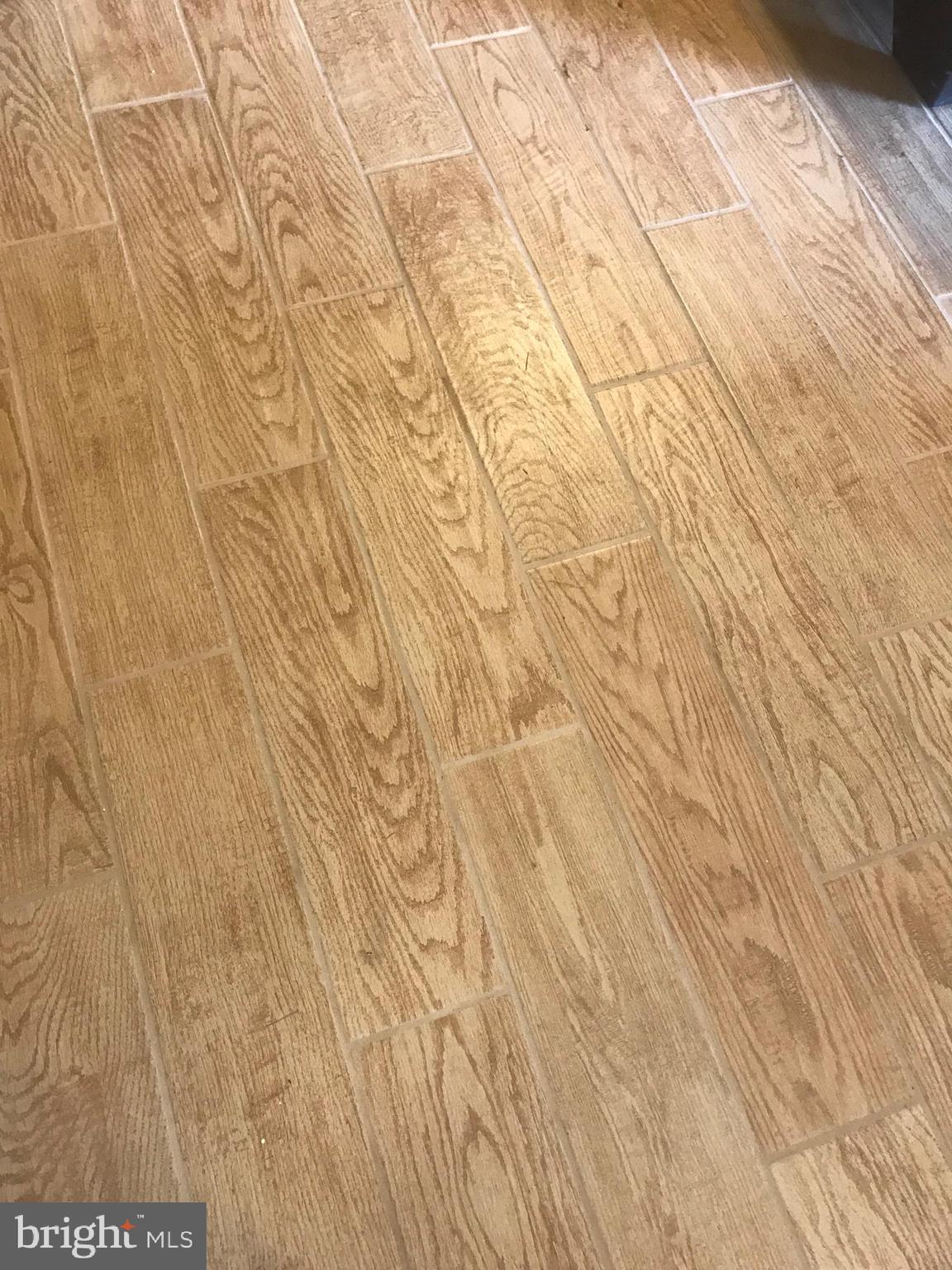 27494 Log Cabin Road Salisbury, MD 21801 - Photo 7 of 19 new tile floors