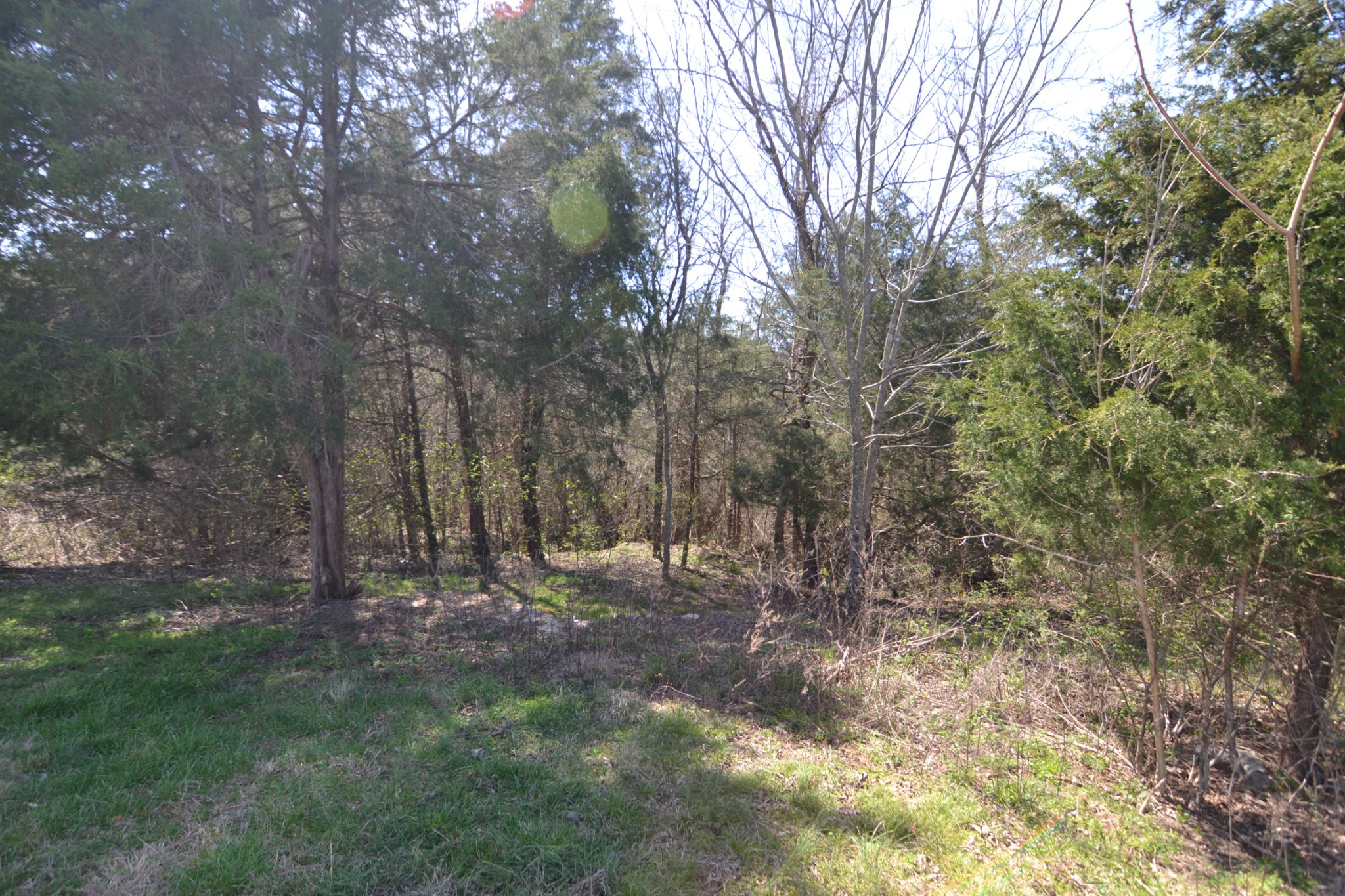 2706 East Sheepneck Road Culleoka, TN 38451 - Photo 17 of 39 Gallery Image 17