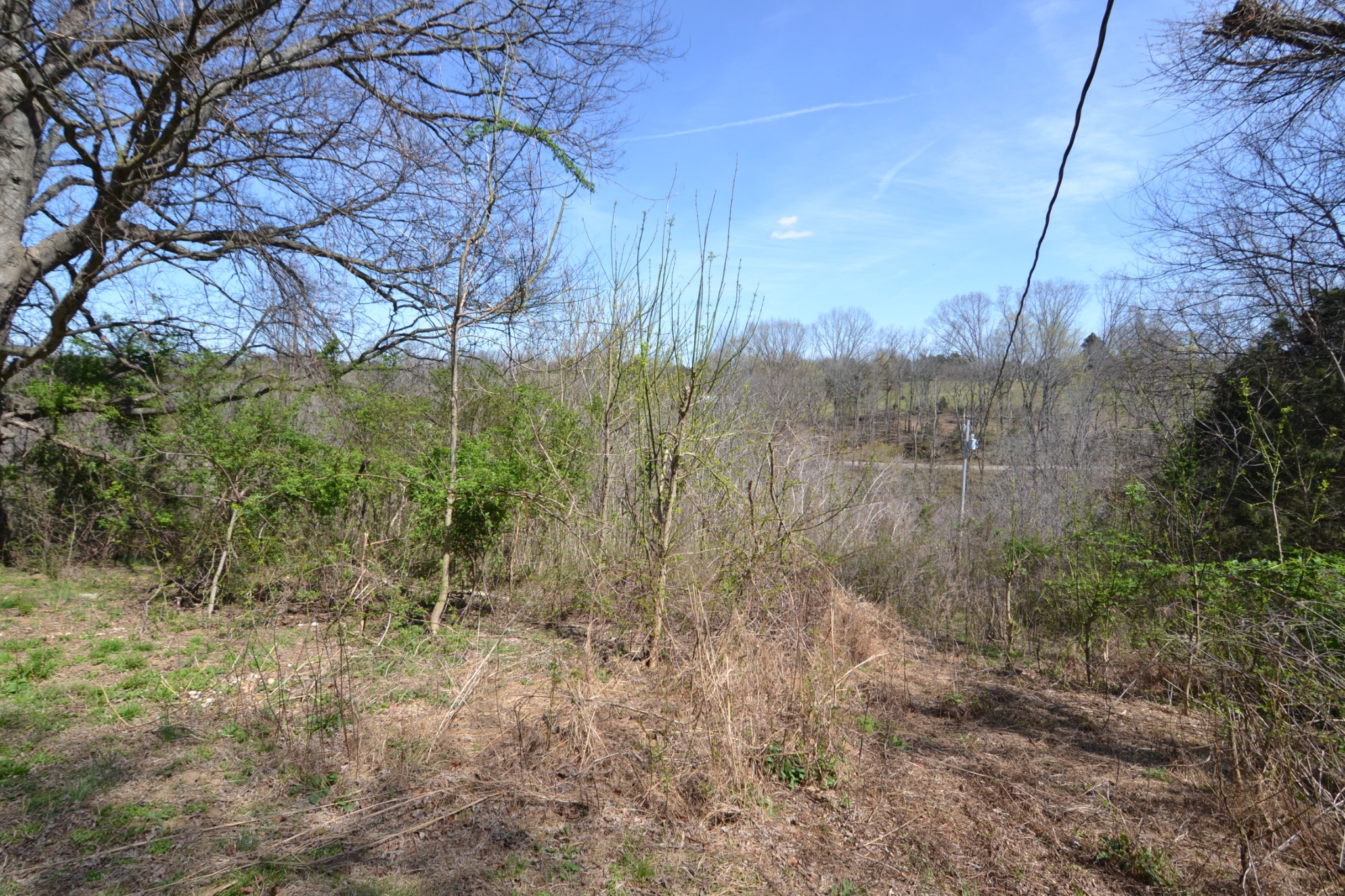2706 East Sheepneck Road Culleoka, TN 38451 - Photo 19 of 39 Gallery Image 19