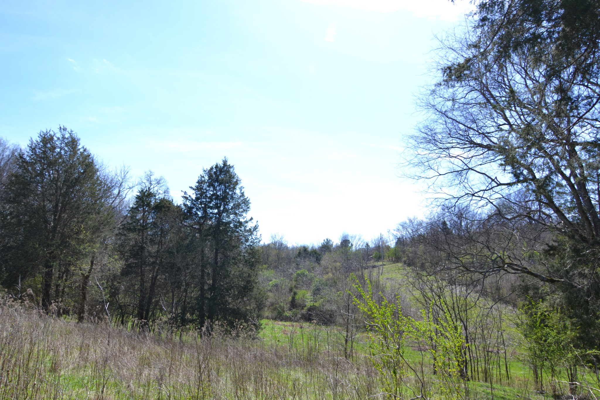 2706 East Sheepneck Road Culleoka, TN 38451 - Photo 3 of 39 Gallery Image 3