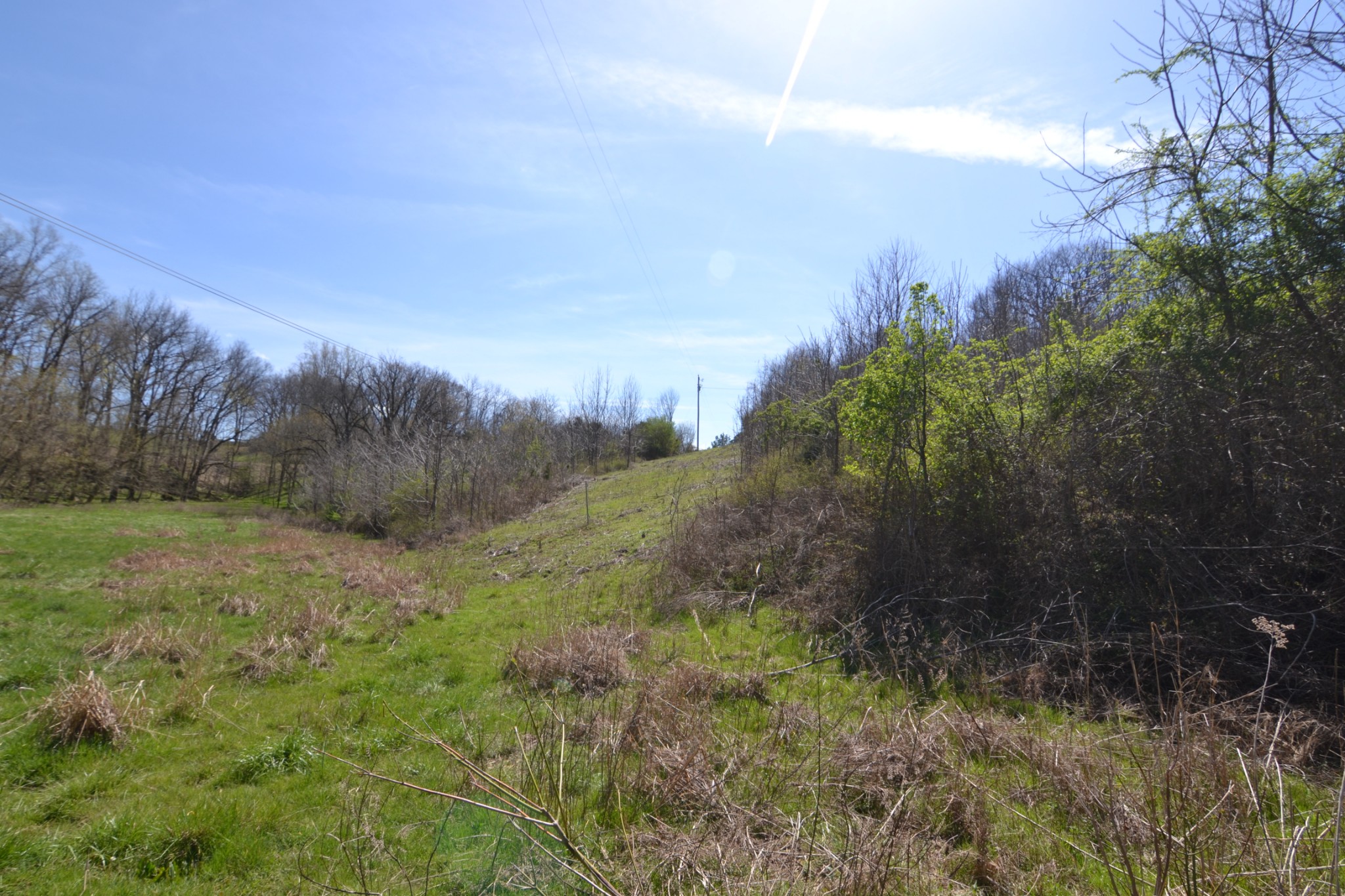2706 East Sheepneck Road Culleoka, TN 38451 - Photo 6 of 39 Gallery Image 6