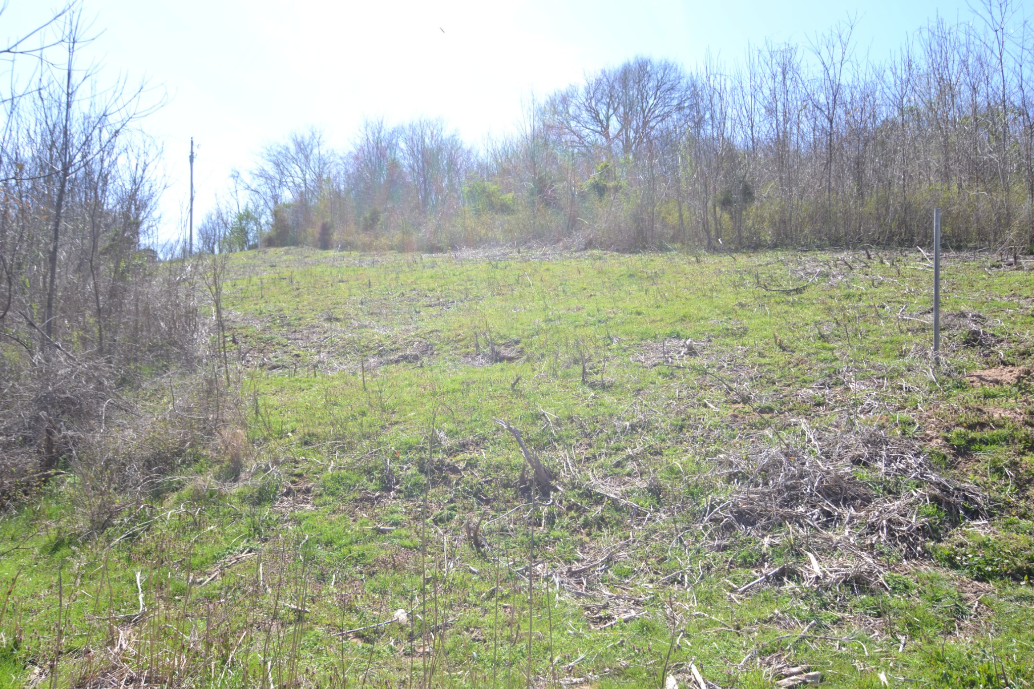 2706 East Sheepneck Road Culleoka, TN 38451 - Photo 7 of 39 Gallery Image 7