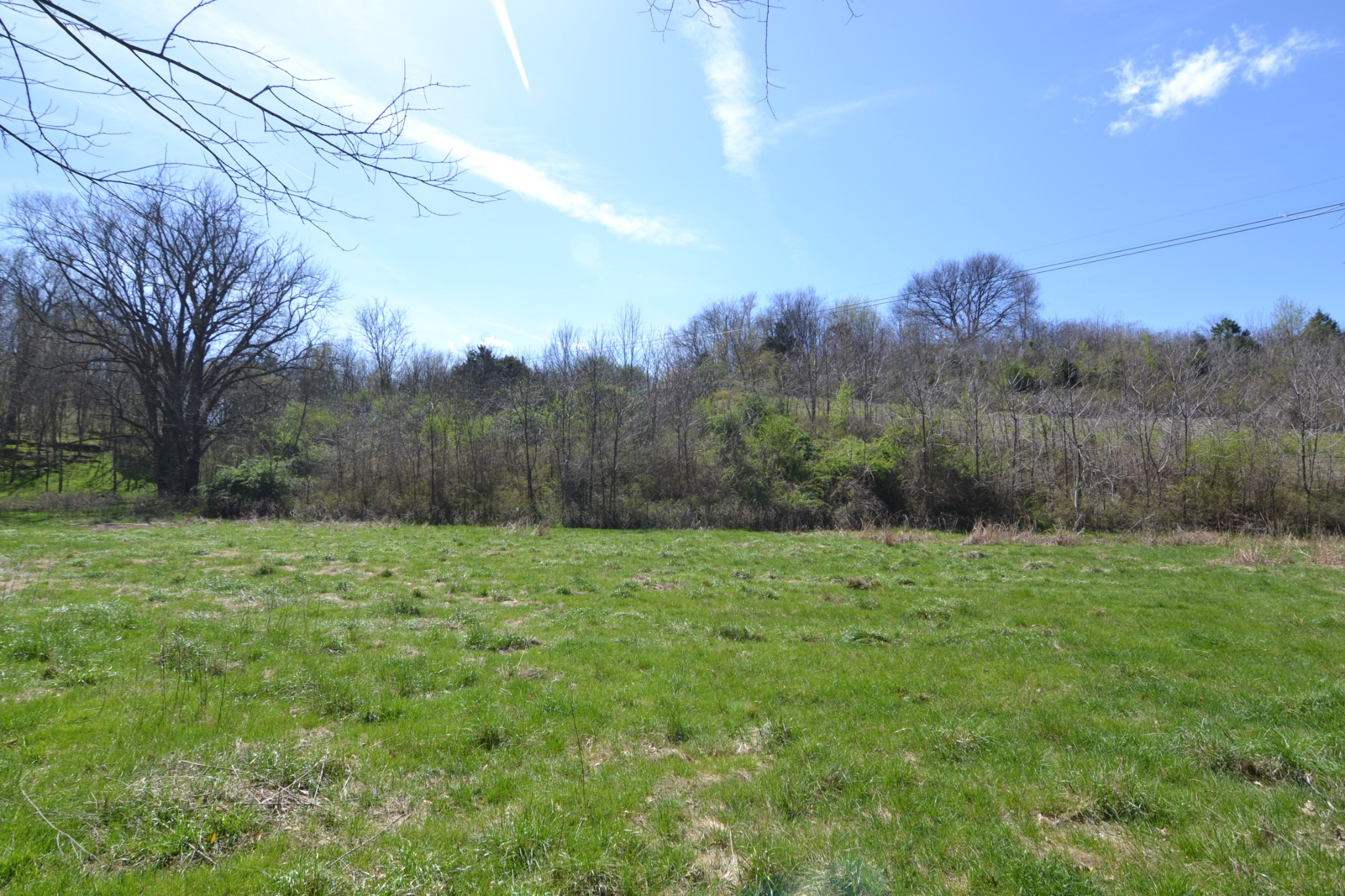 2706 East Sheepneck Road Culleoka, TN 38451 - Photo 8 of 39 Gallery Image 8