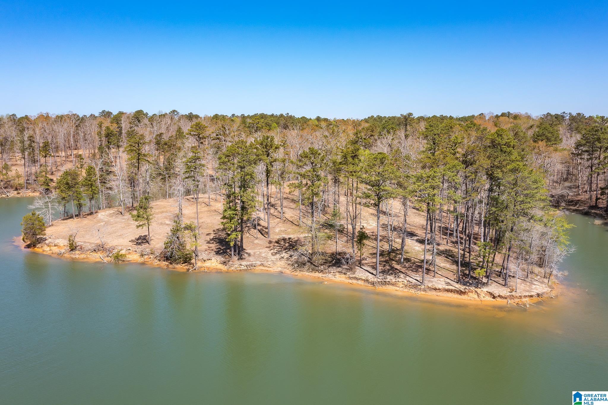61 County Road, Unit 35 Houston, AL 35572 - Photo 2 of 6