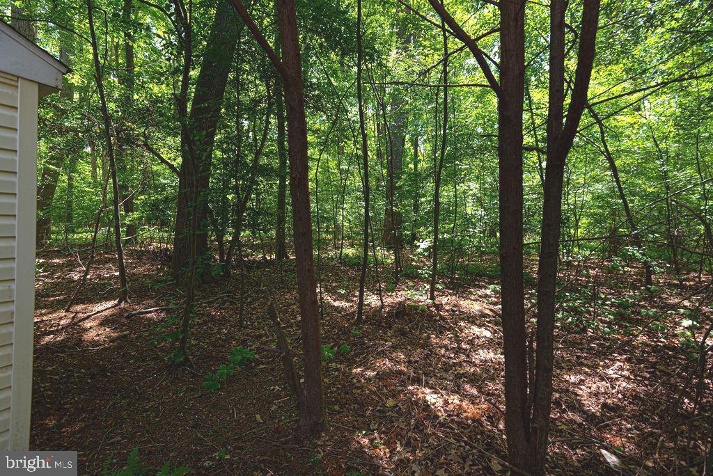 206 Windjammer Road Ocean Pines, MD 21811 - Photo 36 of 46 Nestled in the woods