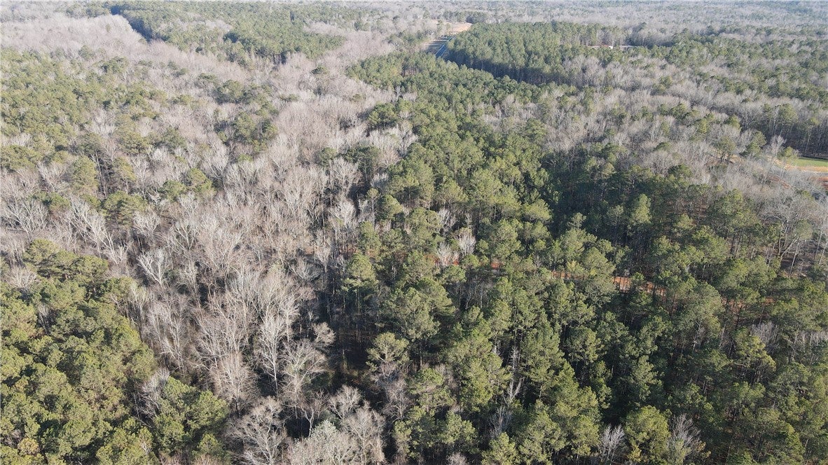 3755 Ridgeline Trail Auburn, AL 36830 - Photo 13 of 38 Gallery Image 13