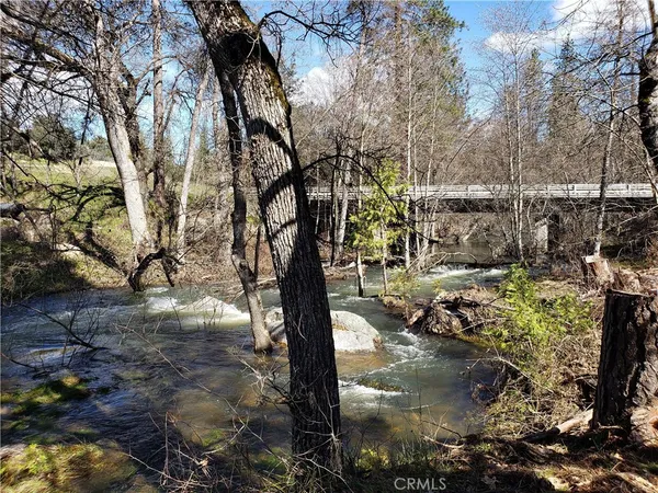 a view of lake from a tree