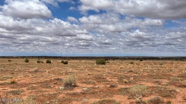 Lot 48 Snowflake Ranch Snowflake, AZ 85937 - Photo 1 of 6