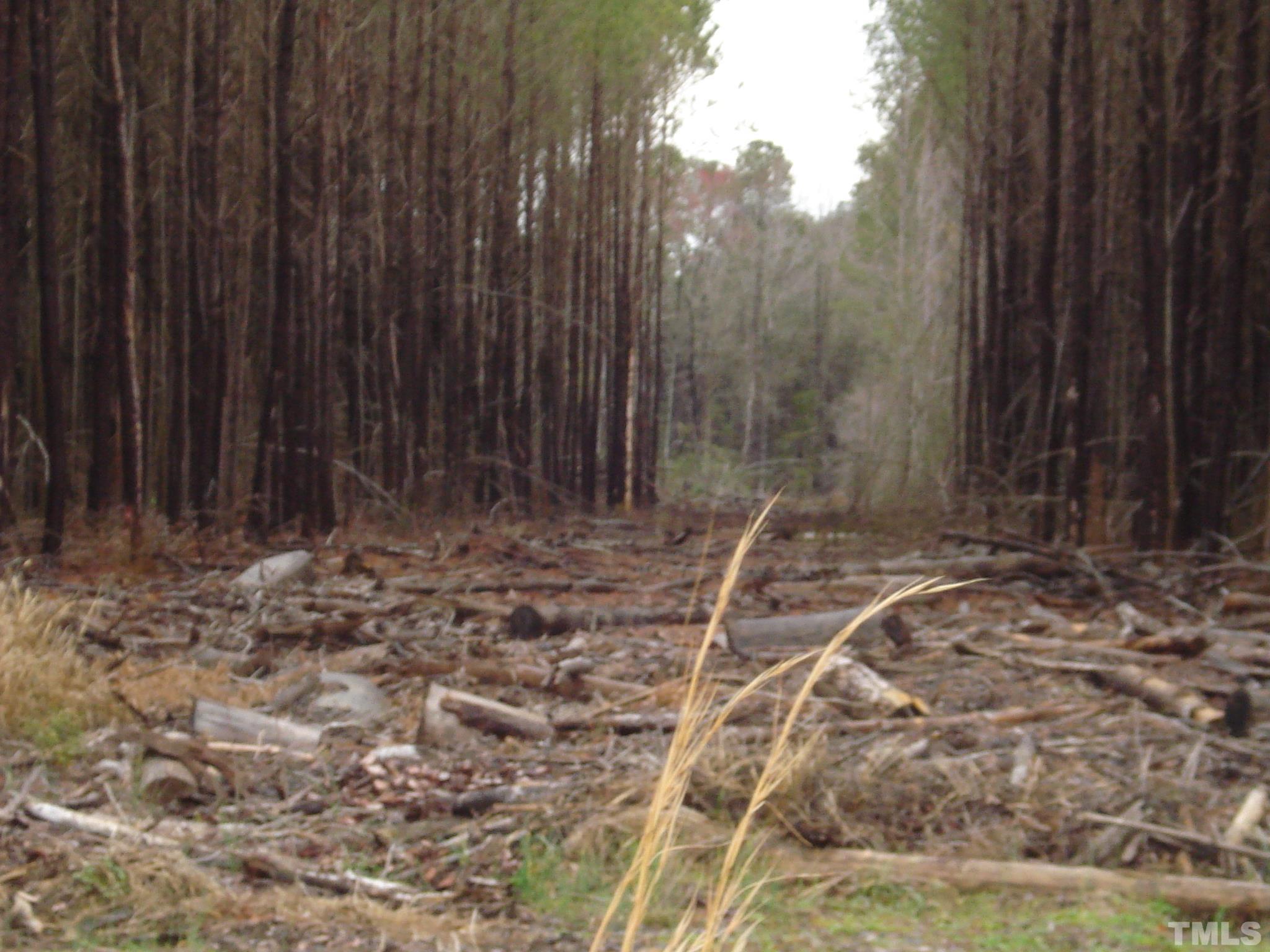 5848 Bluman Road Godwin, NC 28344 - Photo 2 of 7 a backyard of a house