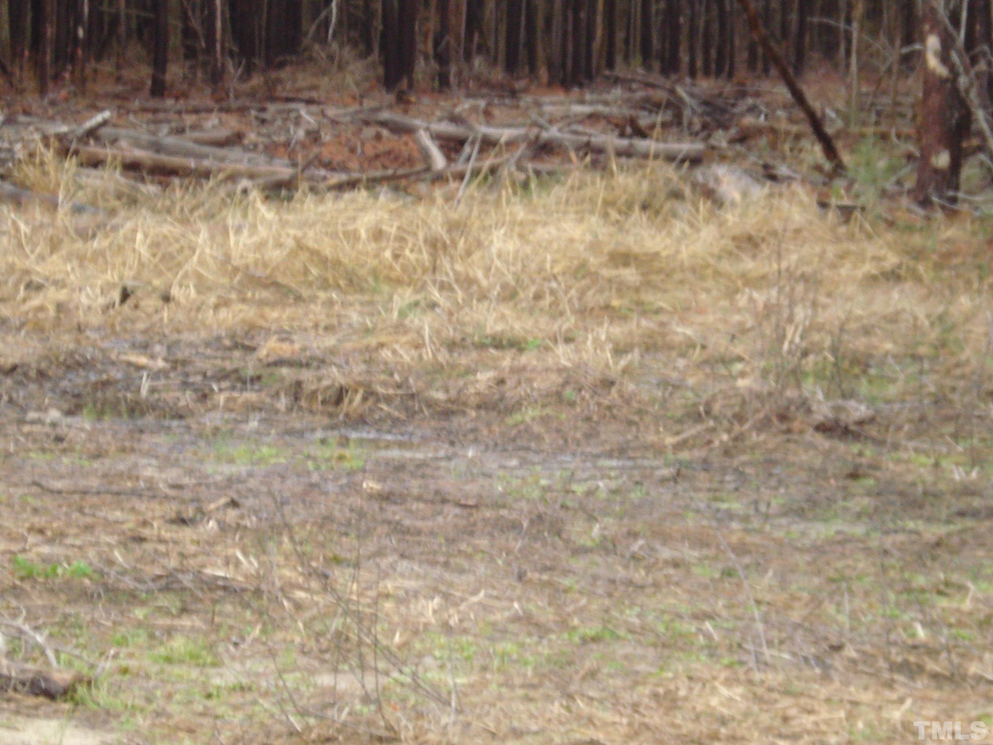 5848 Bluman Road Godwin, NC 28344 - Photo 3 of 7 a view of wooden fence