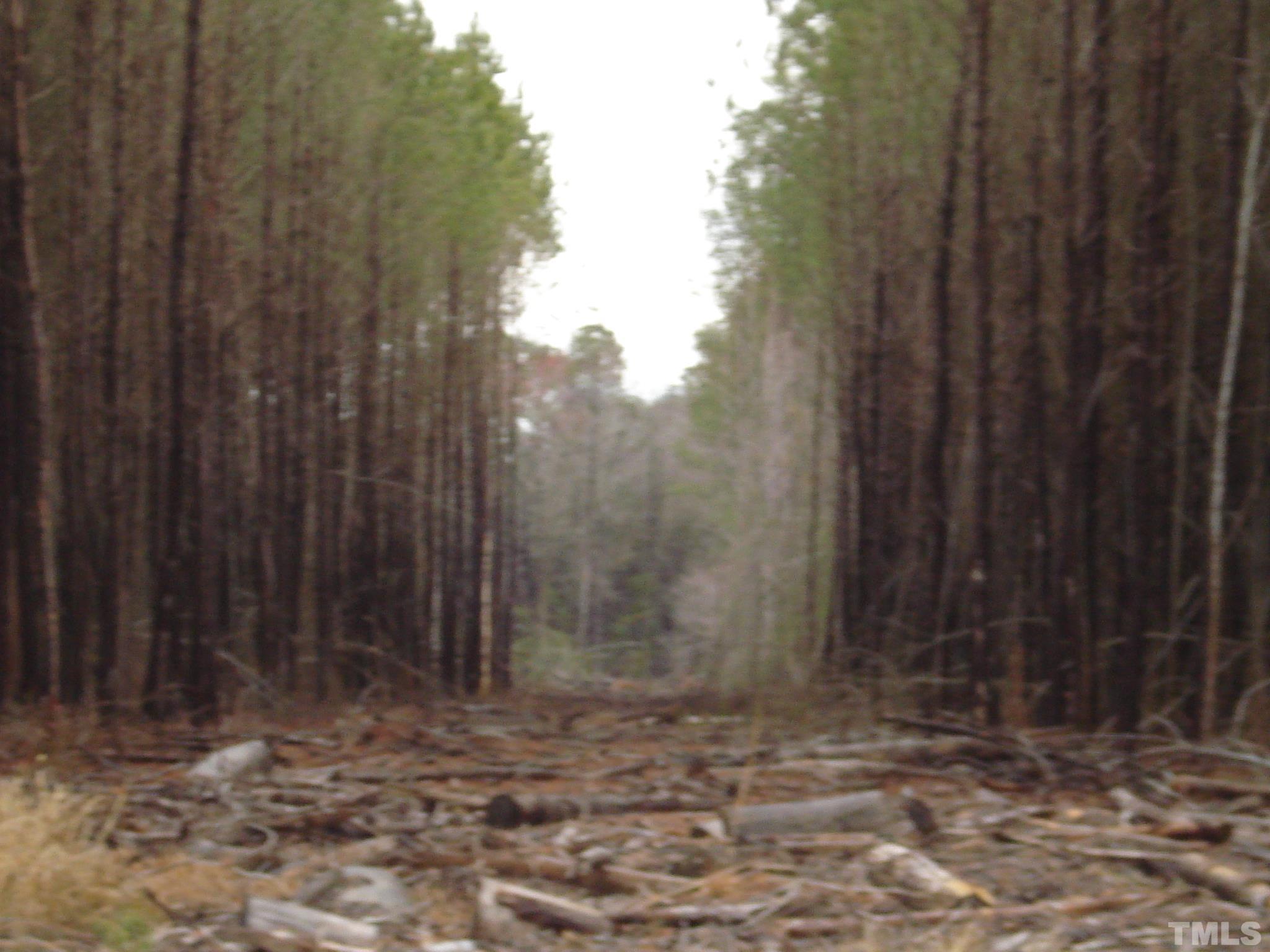5848 Bluman Road Godwin, NC 28344 - Photo 4 of 7 a view of a entrance gate with trees