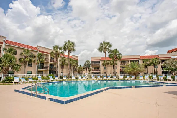 a view of swimming pool with lawn chairs and palm trees