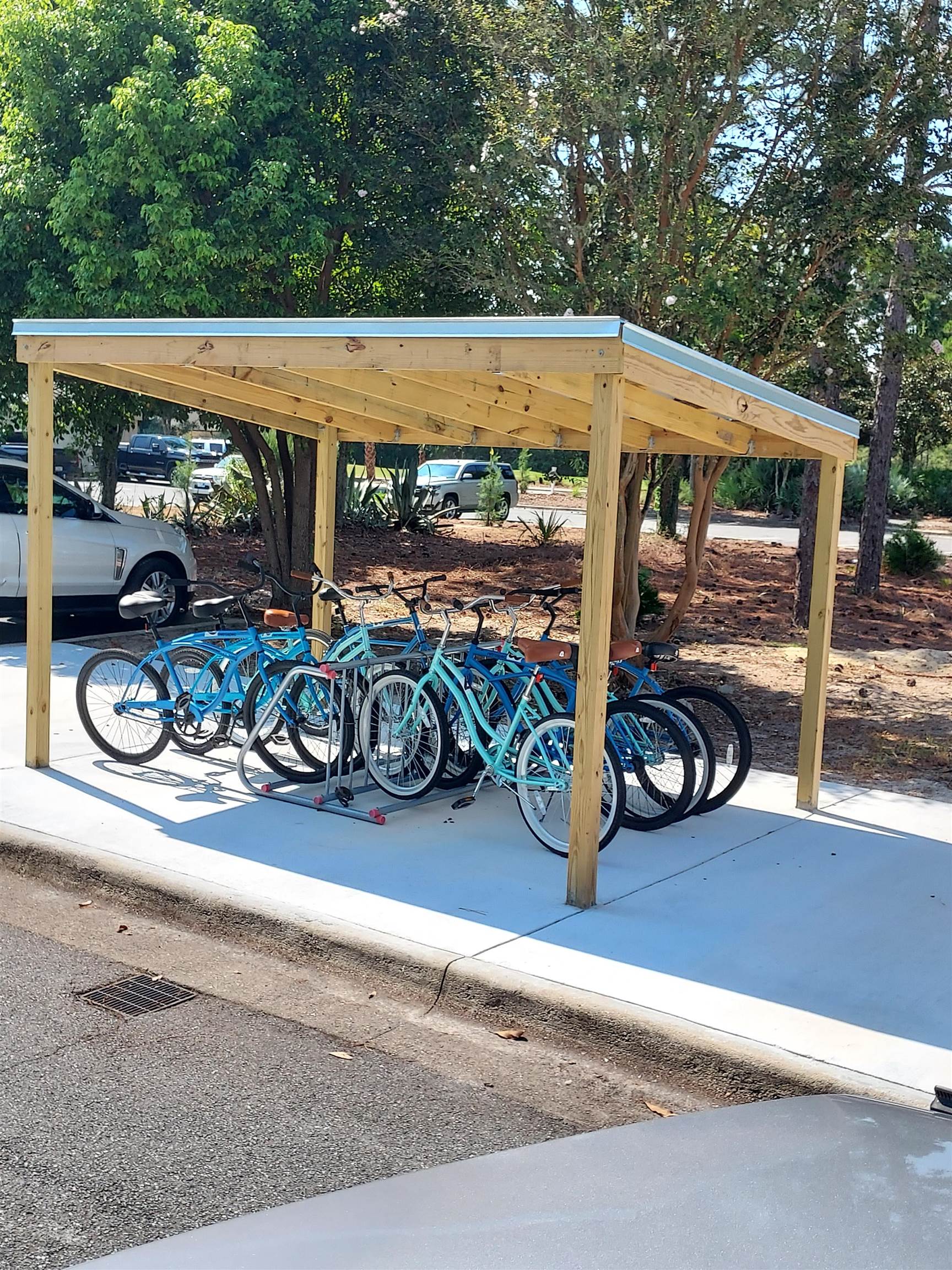 116 Royal Tern Way Carrabelle, FL 32322 - Photo 14 of 14