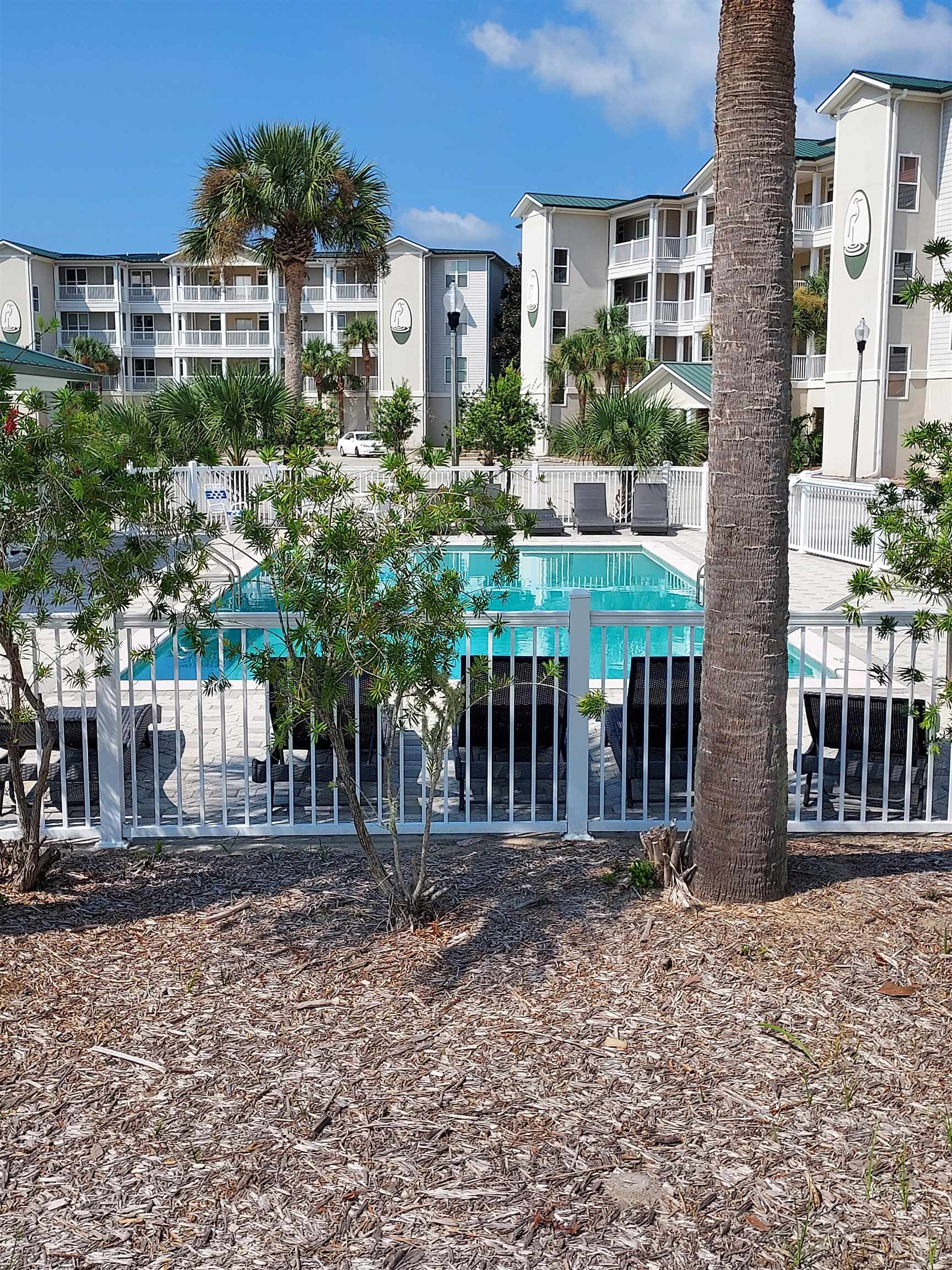 116 Royal Tern Way Carrabelle, FL 32322 - Photo 8 of 14