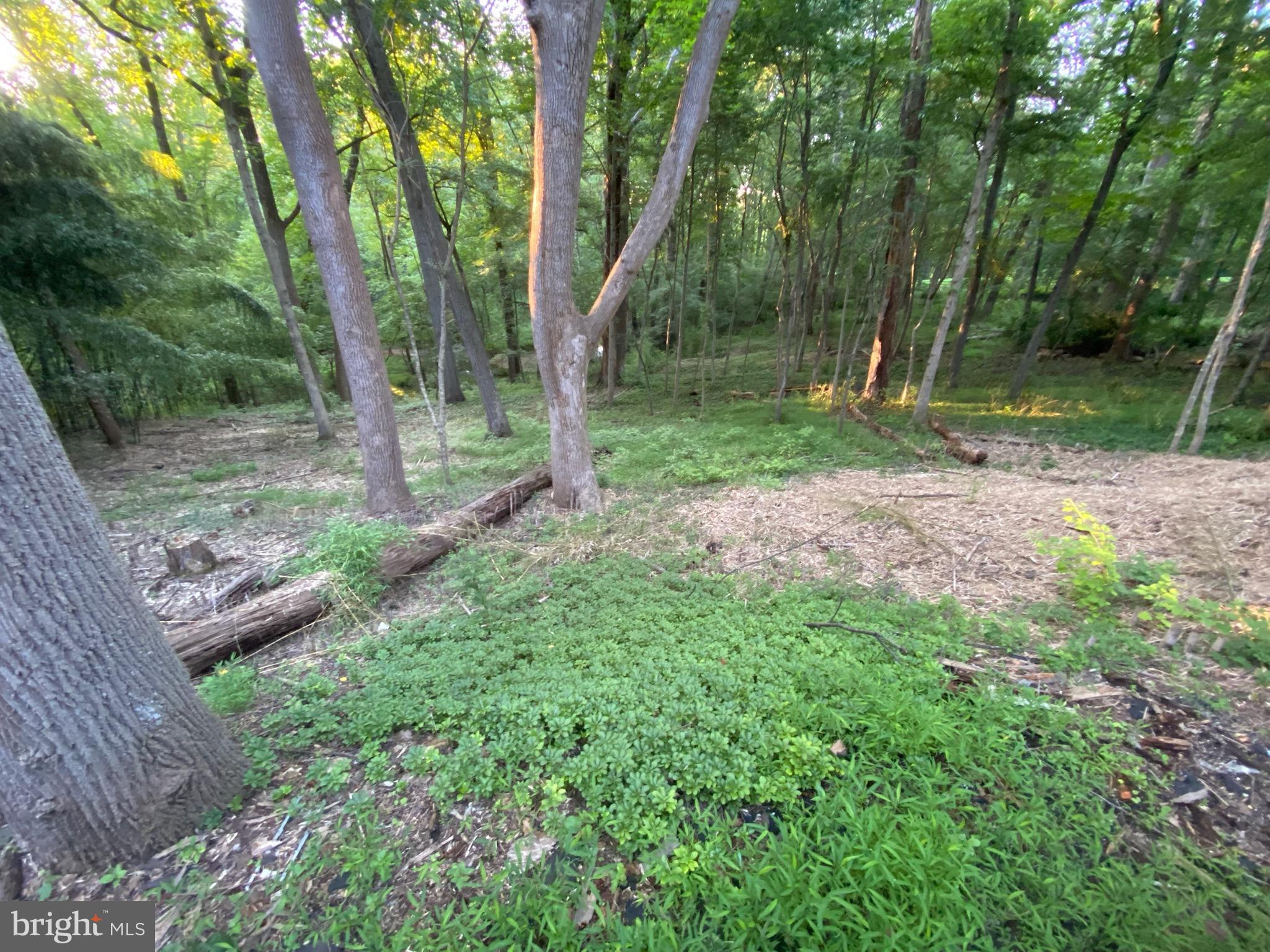 11800 Glen Mill Road Potomac, MD 20854 - Photo 28 of 36