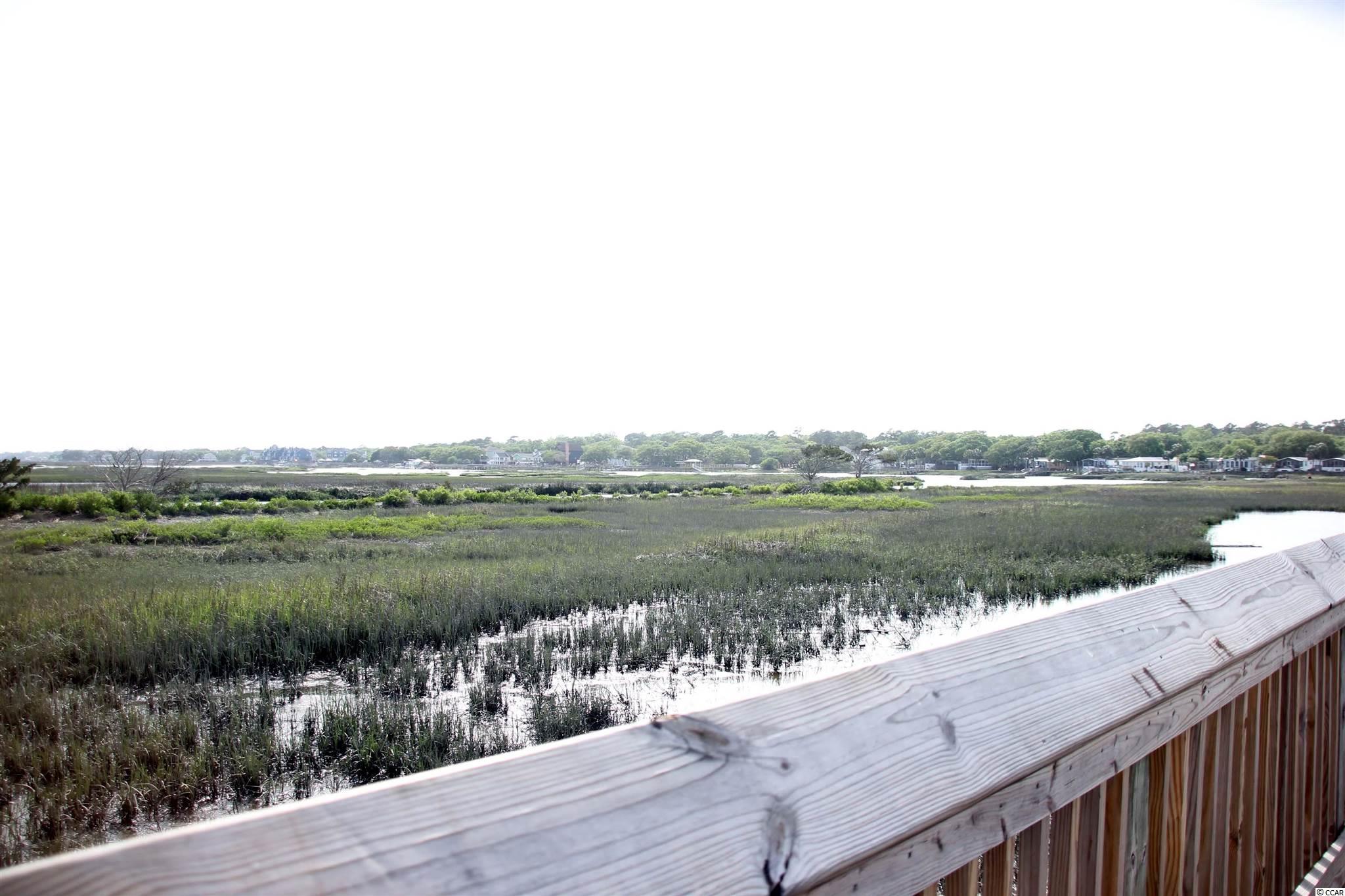 529 Laurel Drive Murrells Inlet, SC 29576 - Photo 35 of 40 Gallery Image 35