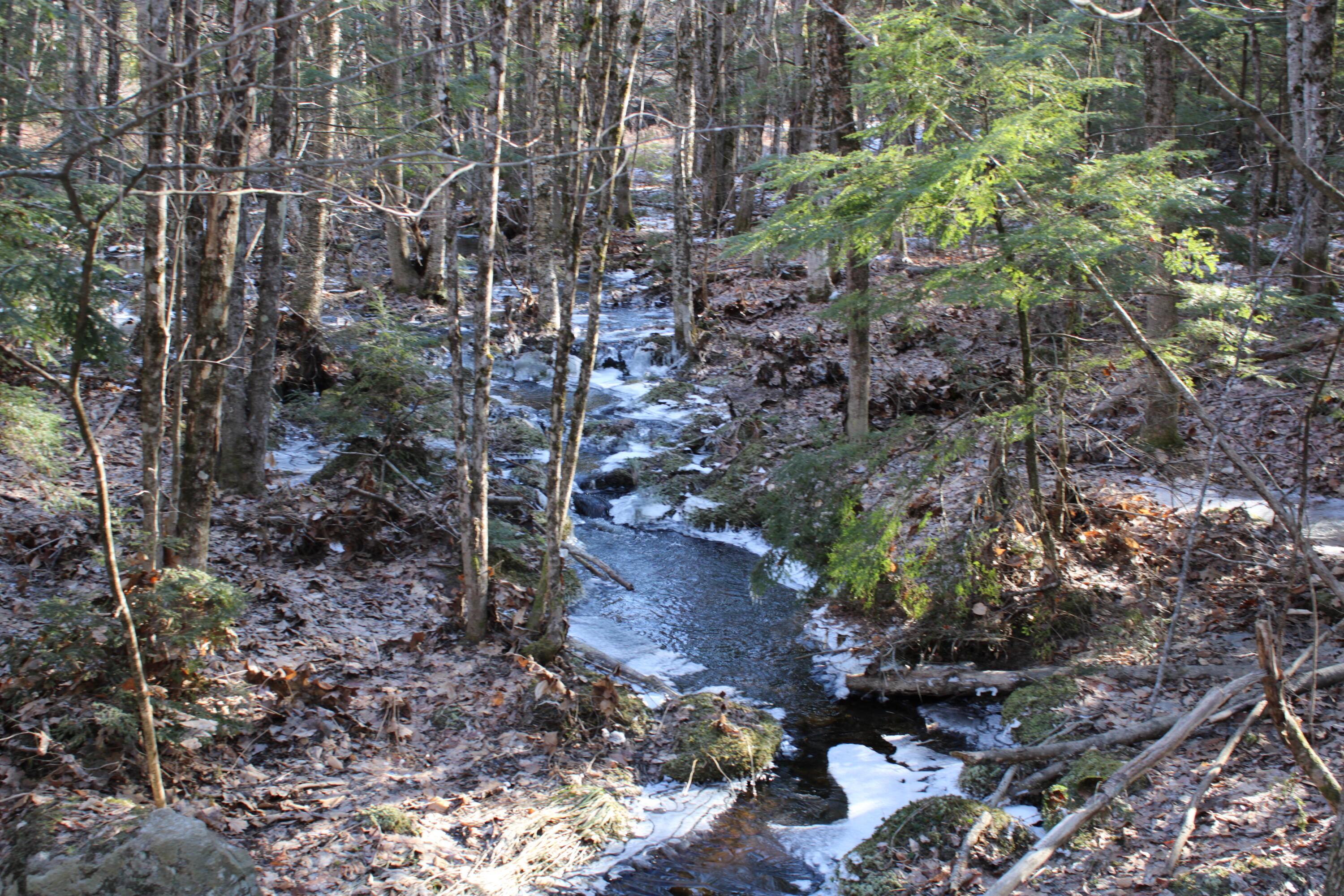 0 Senator Black Road West Baldwin, ME 04091 - Photo 14 of 16 senblackpic19