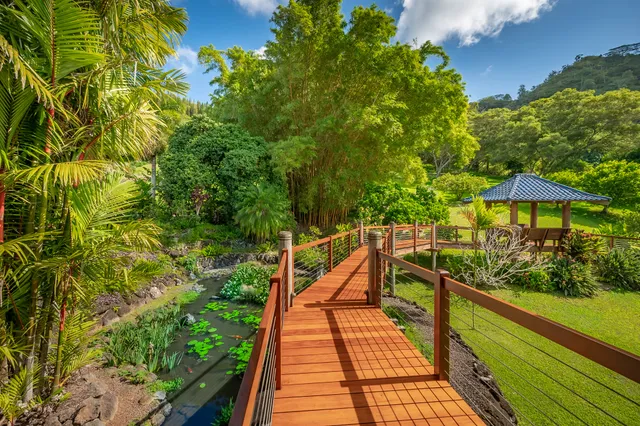 a view of a yard with plants