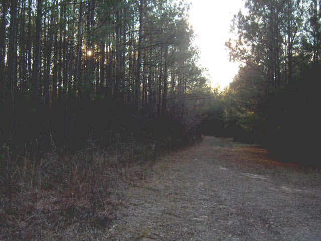 16 Barnes Road, Unit ACRES Canton, MS 39046 - Photo 1 of 1 Photo 1