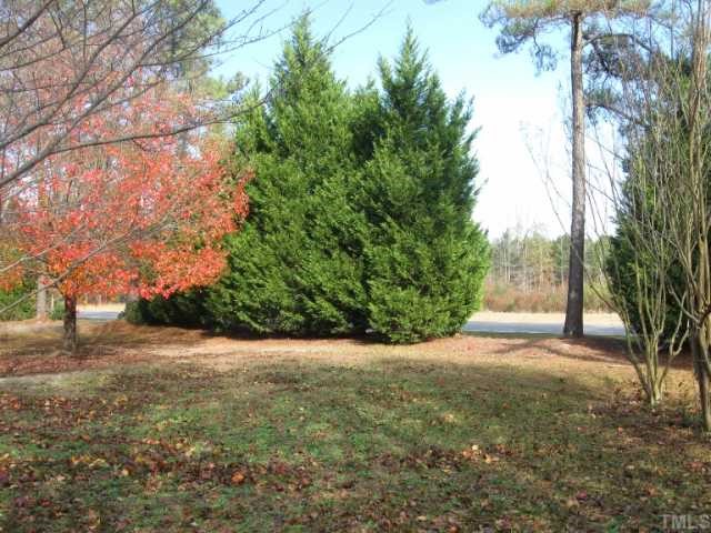 533 Powhatan Road Clayton, NC 27527 - Photo 10 of 12 View of front yard looking towards the road - beautiful cypress trees for your privacy!