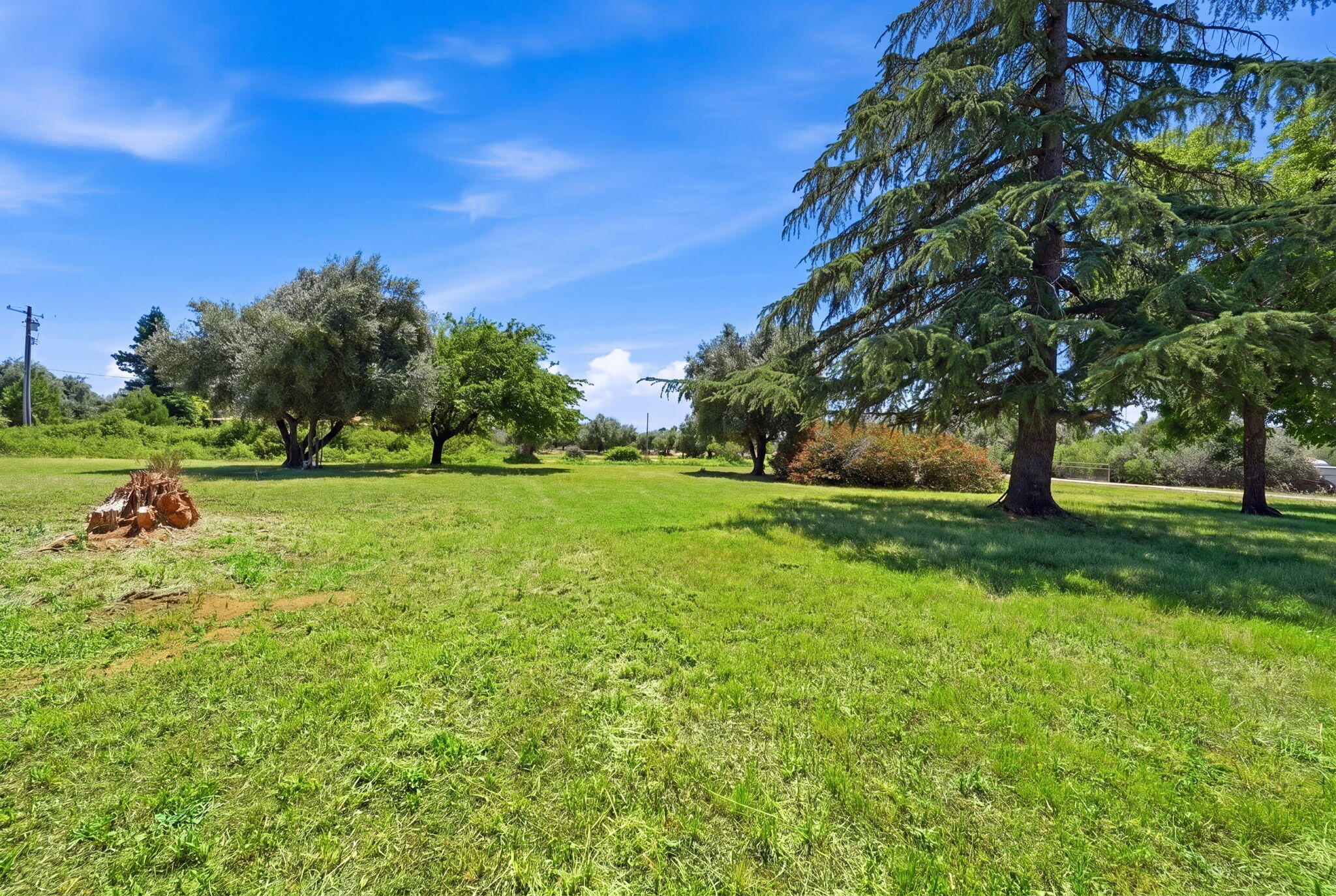 16280 Scout Avenue Anderson, CA 96007 - Photo 3 of 51 4-web-or-mls-IMG-4
