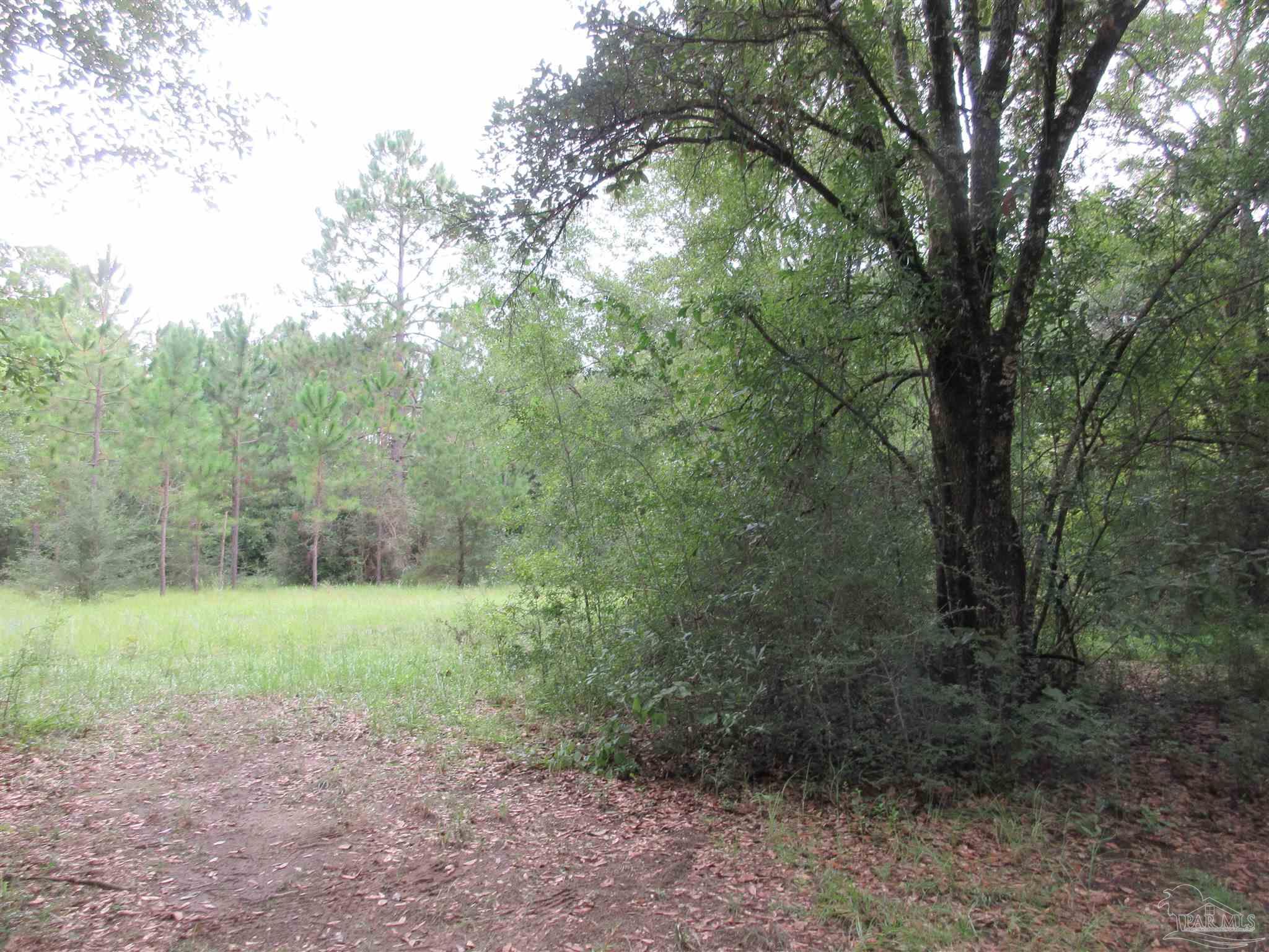 Chumuckla Highway Pace, FL 32571 - Photo 12 of 28