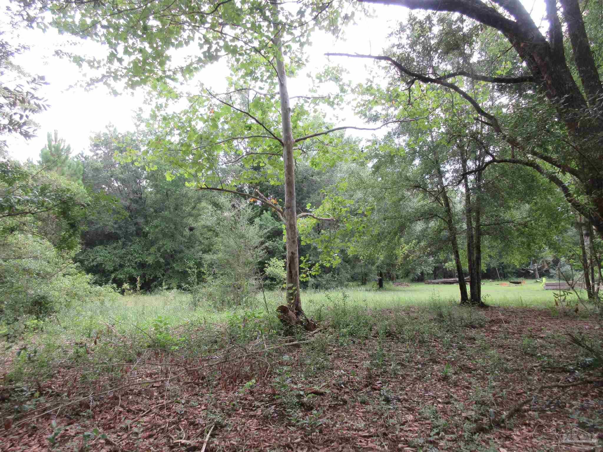 Chumuckla Highway Pace, FL 32571 - Photo 13 of 28