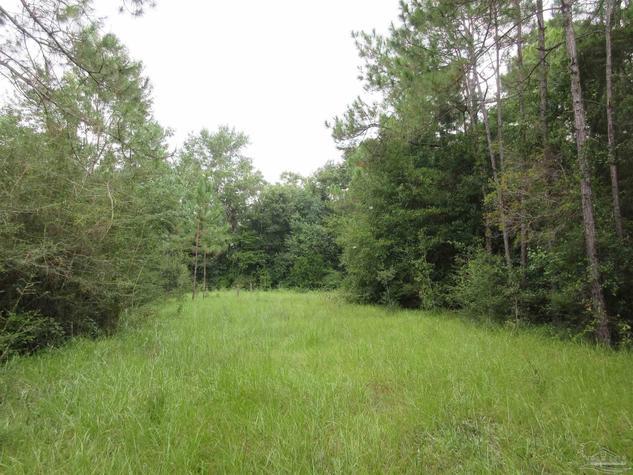 Chumuckla Highway Pace, FL 32571 - Photo 14 of 28