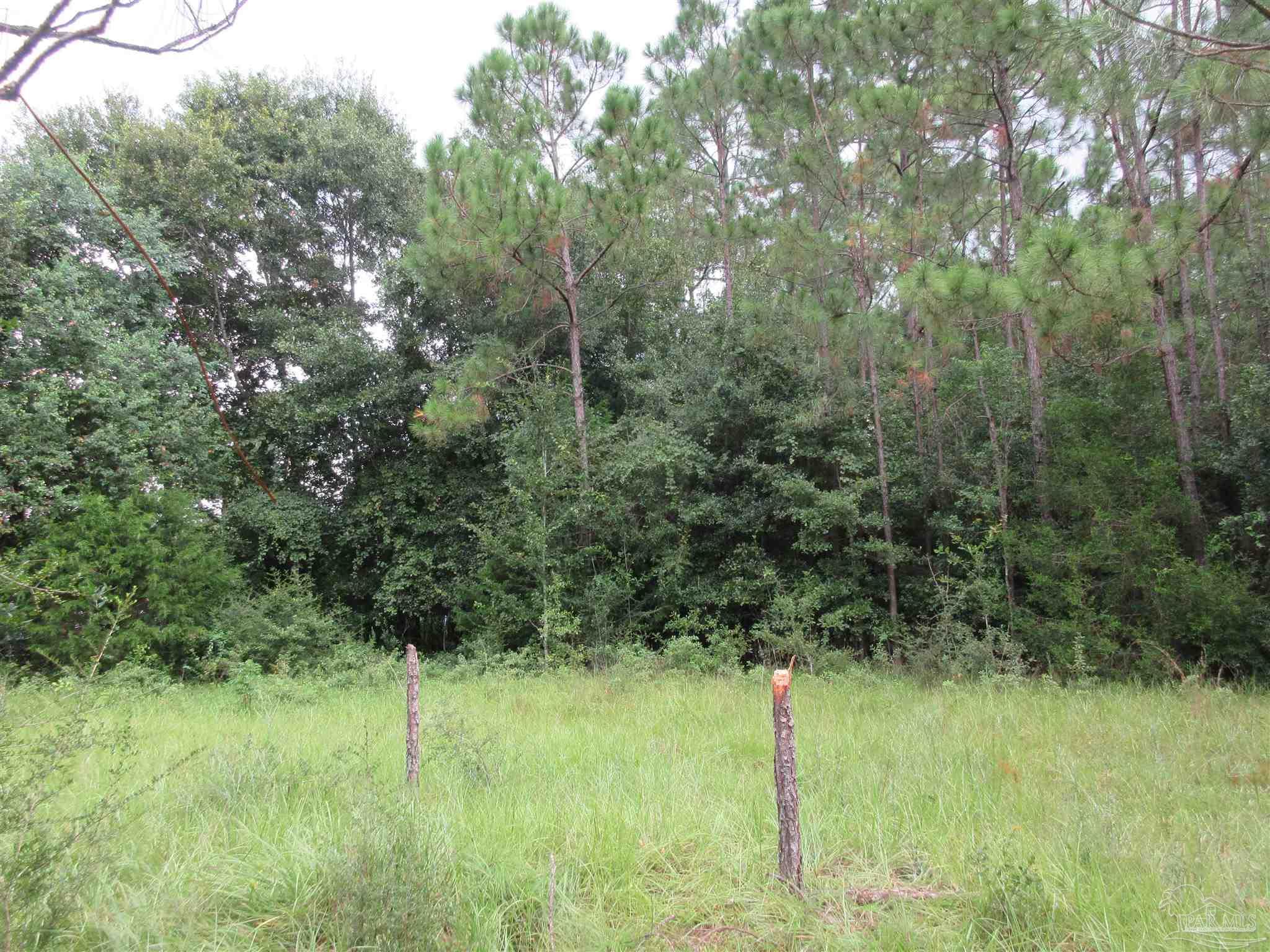 Chumuckla Highway Pace, FL 32571 - Photo 15 of 28