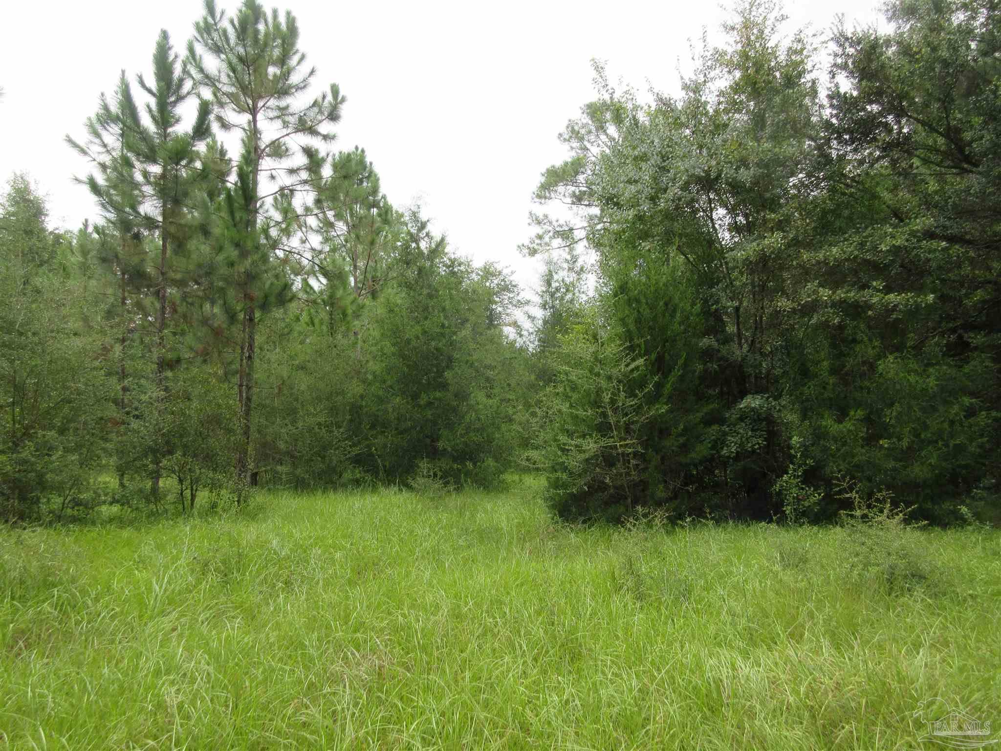 Chumuckla Highway Pace, FL 32571 - Photo 19 of 28