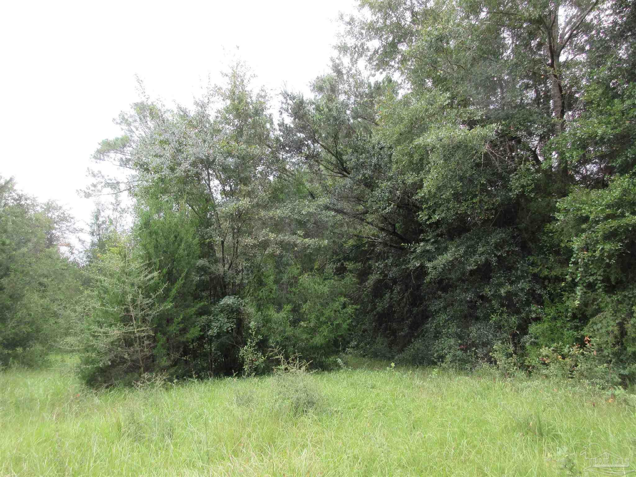 Chumuckla Highway Pace, FL 32571 - Photo 20 of 28