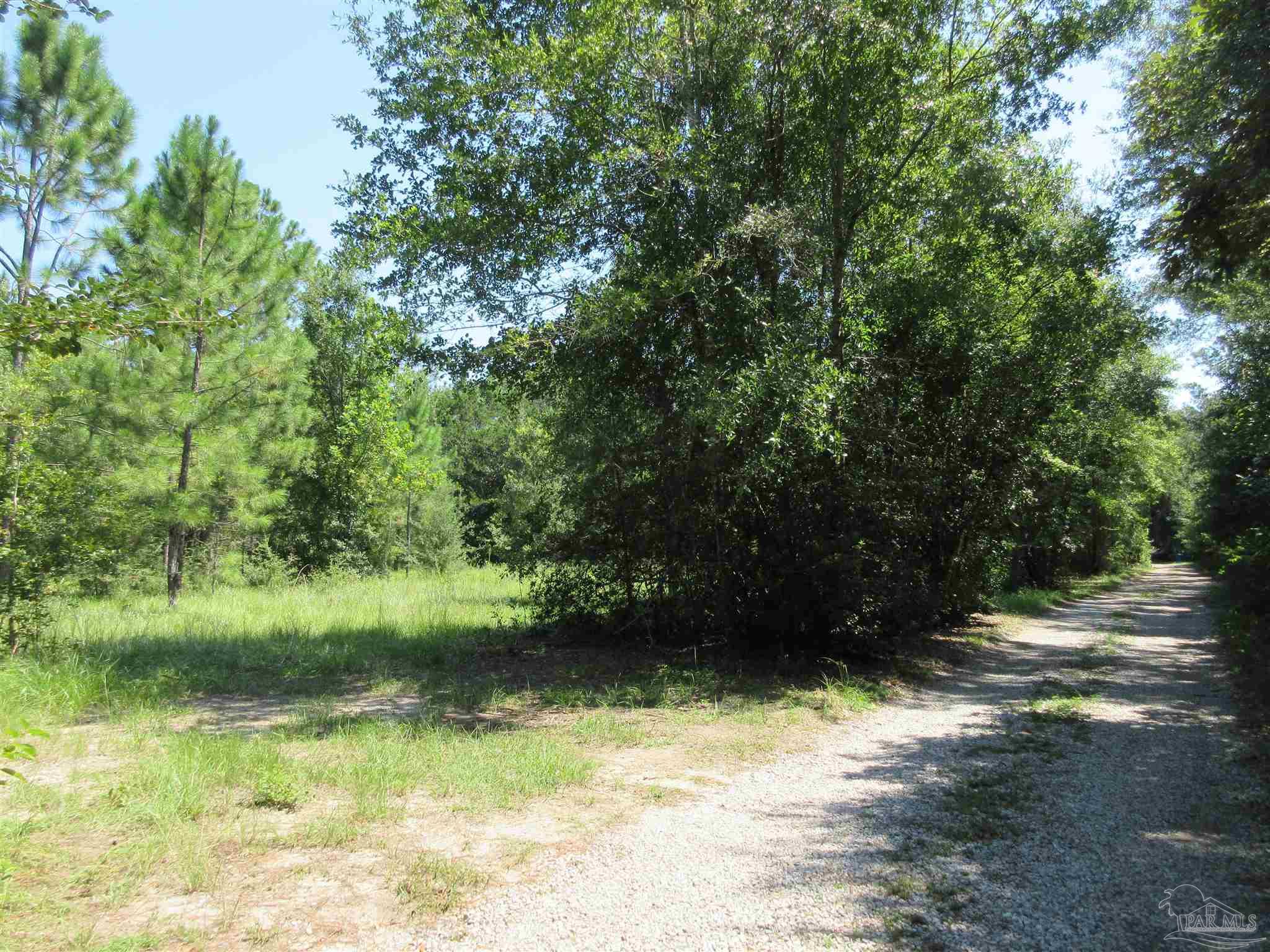 Chumuckla Highway Pace, FL 32571 - Photo 4 of 28