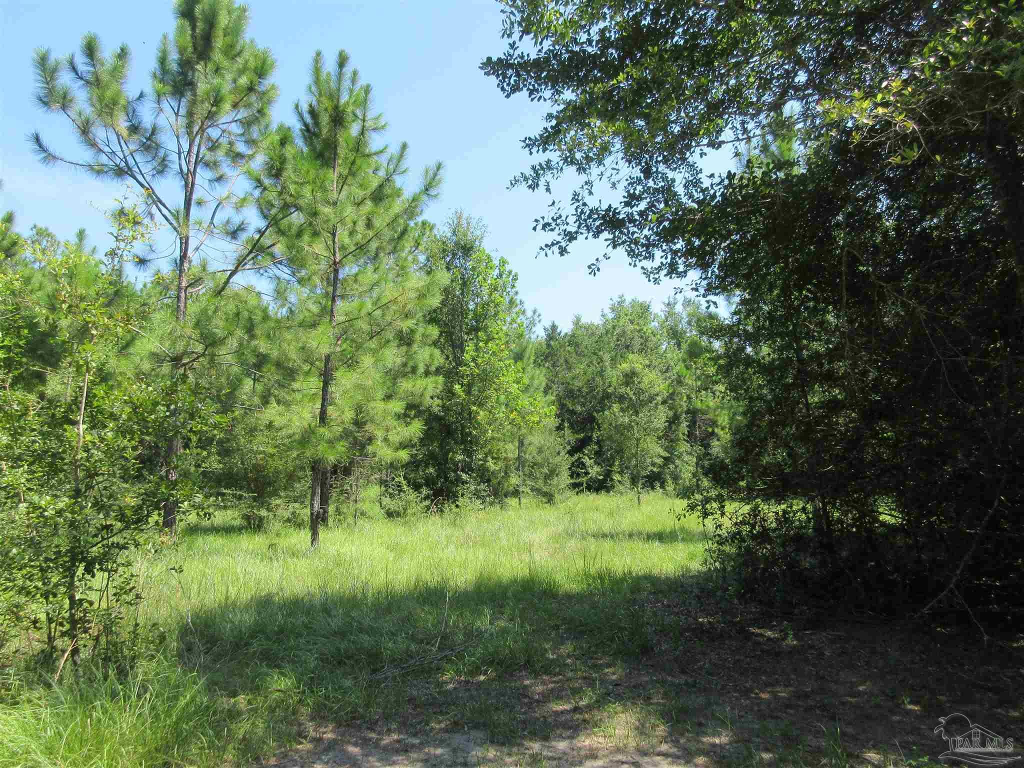 Chumuckla Highway Pace, FL 32571 - Photo 5 of 28