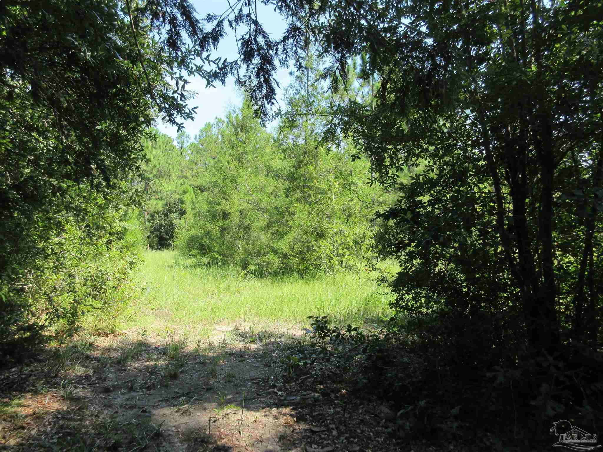 Chumuckla Highway Pace, FL 32571 - Photo 6 of 28