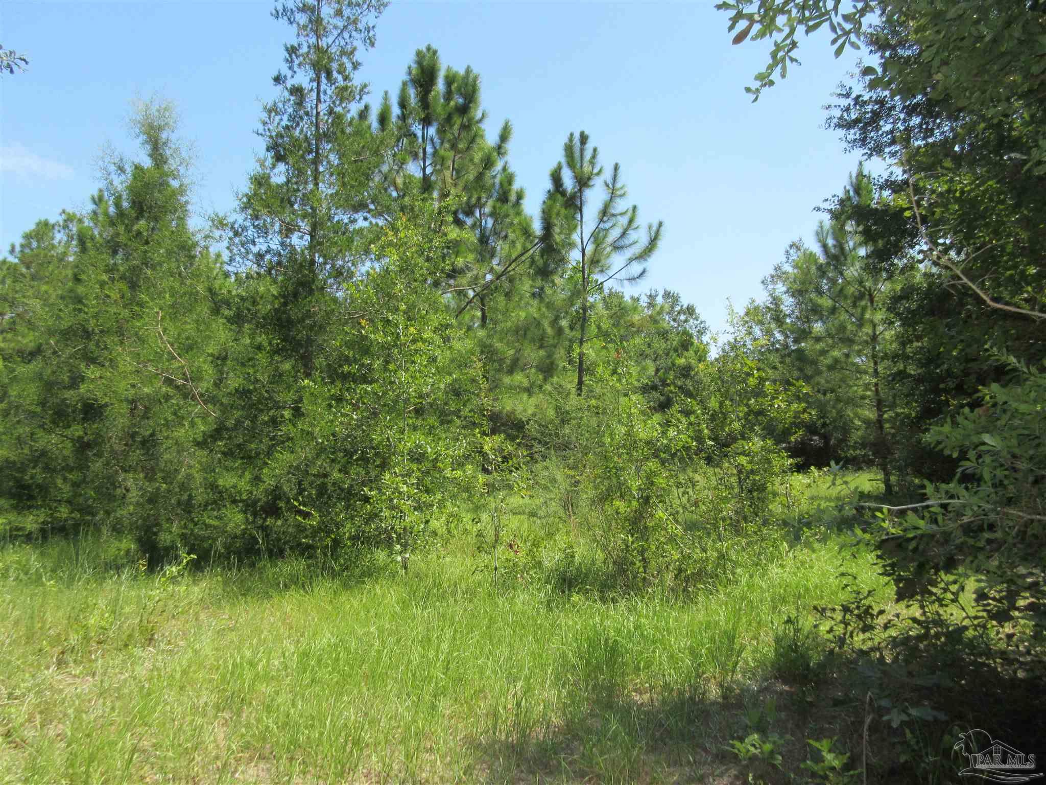 Chumuckla Highway Pace, FL 32571 - Photo 7 of 28