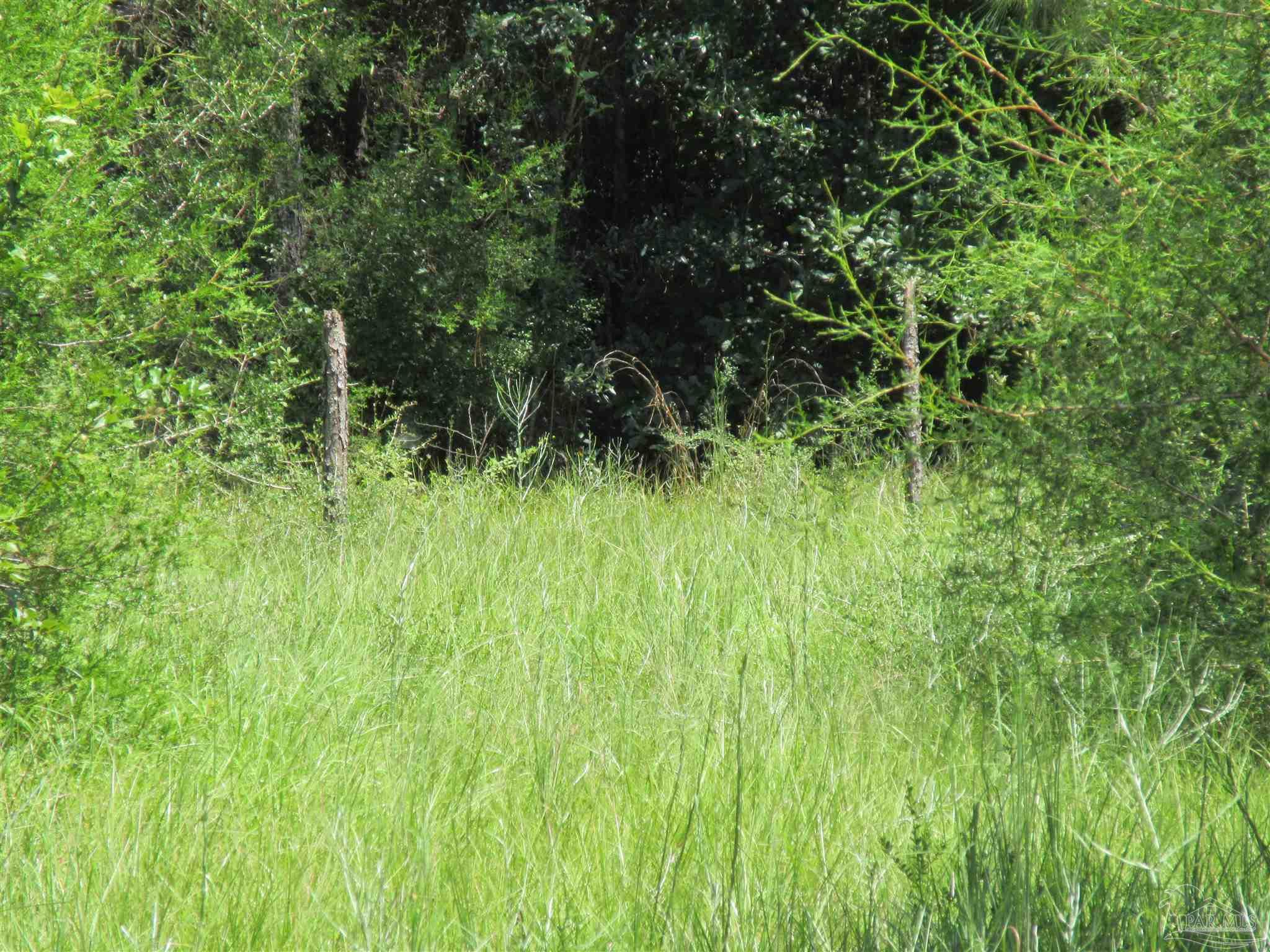 Chumuckla Highway Pace, FL 32571 - Photo 8 of 28