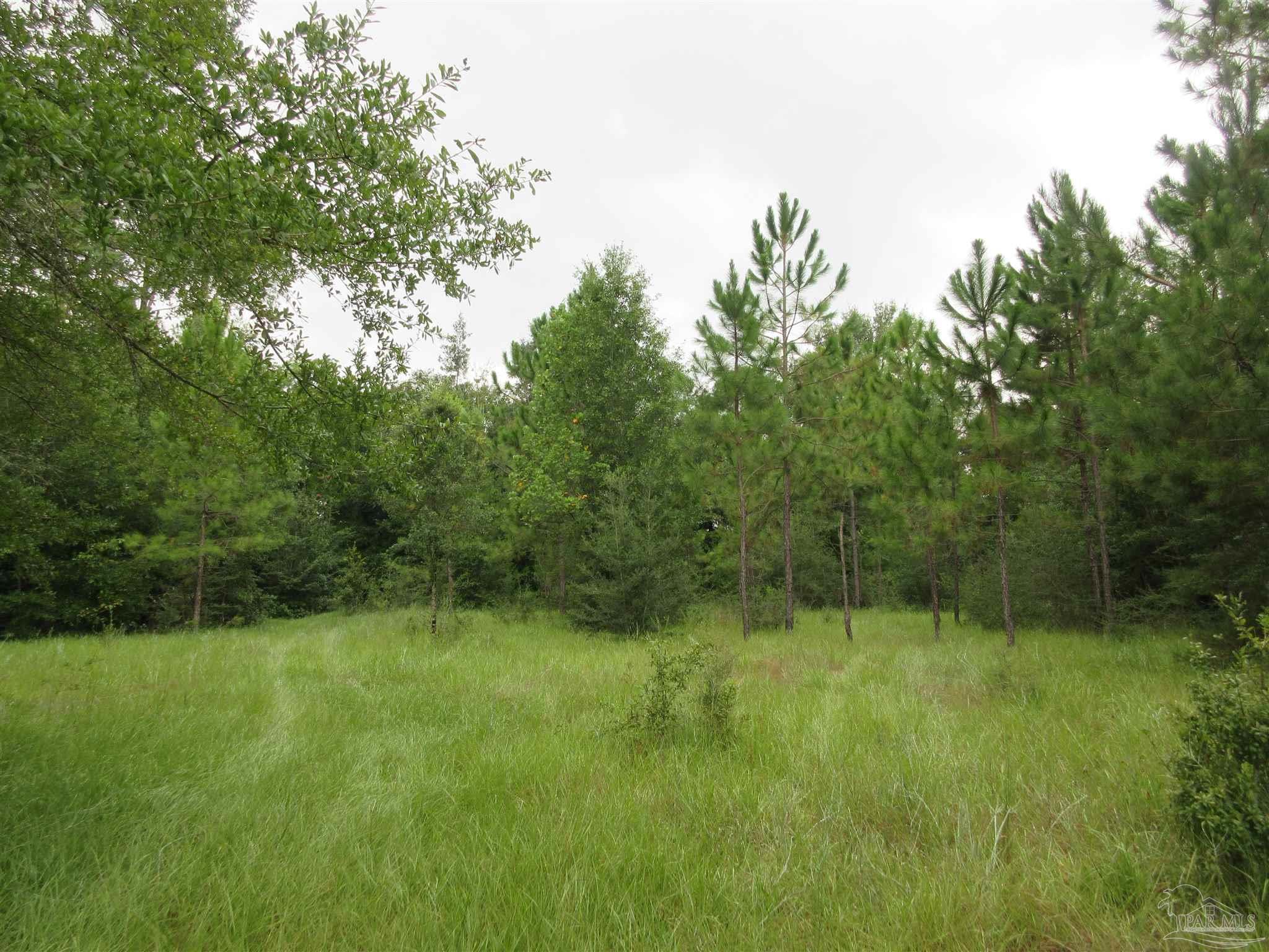 Chumuckla Highway Pace, FL 32571 - Photo 9 of 28