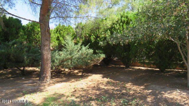 4240 East Waldron Road Rimrock, AZ 86335 - Photo 20 of 34 mature landscaping