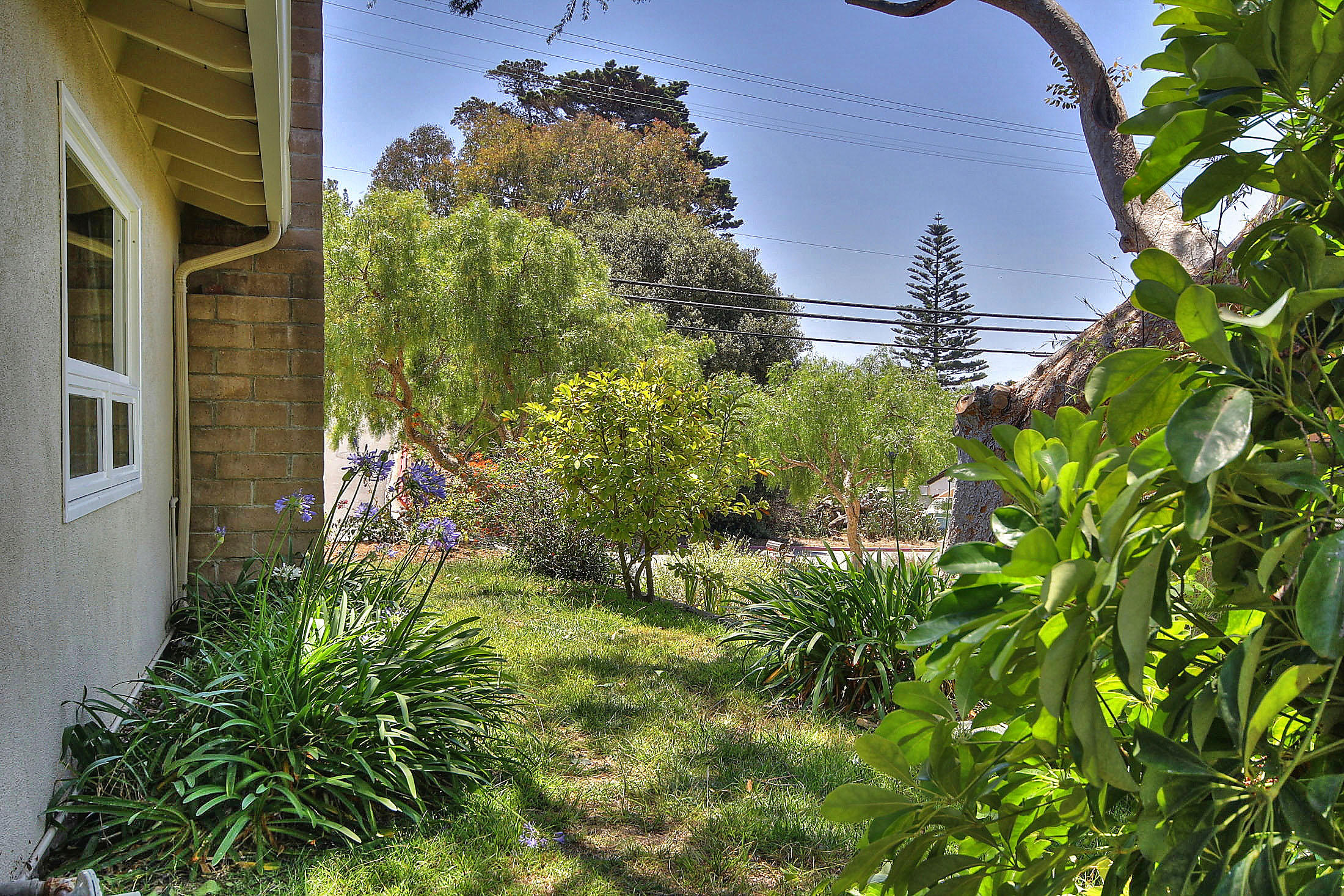 515 Fellowship Road Santa Barbara, CA 93109 - Photo 19 of 25 a backyard of a building with lots of green space