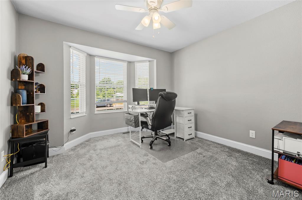 100 Willow Ridge Valmeyer, IL 62295 - Photo 21 of 40 Gallery Image 21