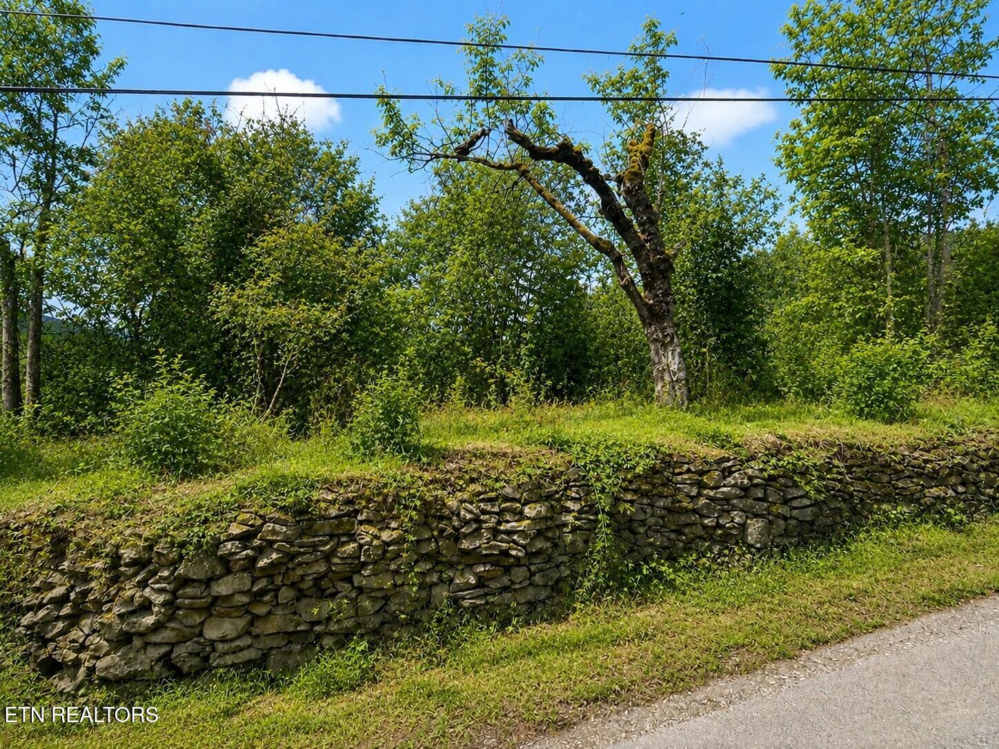 213 Duncan Road Briceville, TN 37710 - Photo 2 of 2 Dunca Rd 1